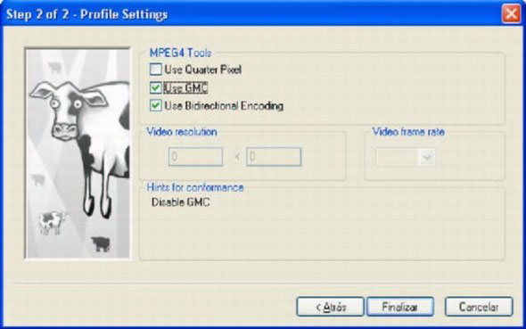 Using Xvid Codec Virtualdub Filters