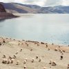 Lago Yamdrok Yamdrok